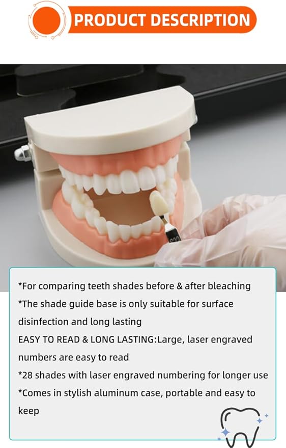 Professional 3D R-28 Dental Tooth Teeth Whitening Shade Guide for Dentist Tracking Teeth Whitening Course, Tooth Shade Guide with 28Colors