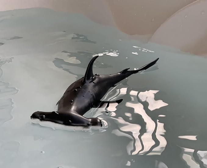 Gemini&Genius Hammerhead Shark for Kids Swimming Pool Beach Bathing Toys Soft Rubber Realistic Sea Animal Shark Marine Animal World Lemon Shark Action Figure