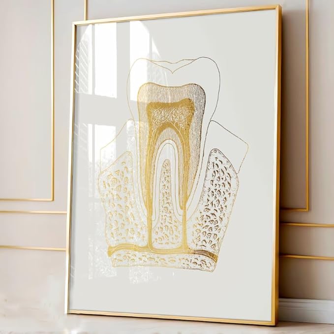 3 Pieces Wall Art Prints Dental Anatomy Poster Tooth Structure Picture Teeth Numbering System Canvas Wall Painting for Dentist Office Decoration with Inner Frame