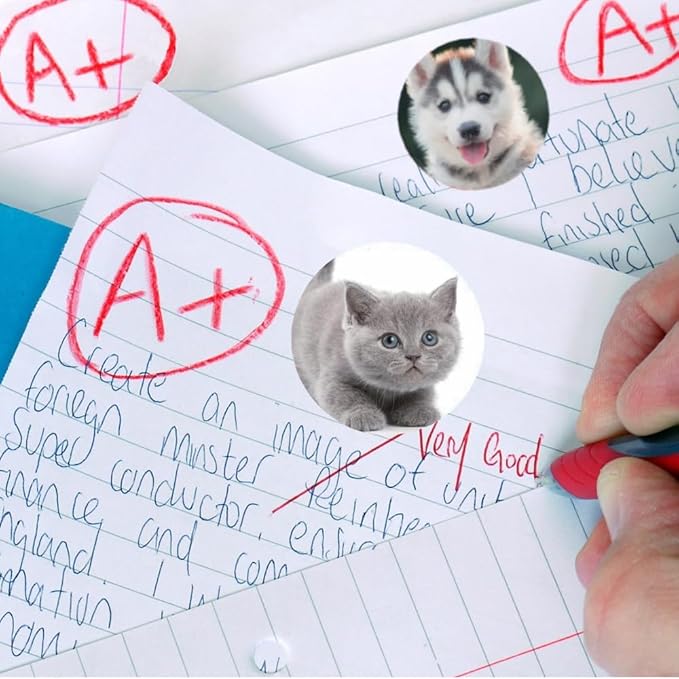 600 Pcs Puppy and Kitten Stickers for Kids Teachers 1.5 Inch 16 Styles Dog Cat Stickers for Kids Birthday Party School Reward Giveaways