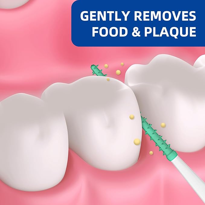 Dental Floss Picks for Teeth Cleaning, Easy to Use Disposable Interdental Brushes with Convenient Carry Case, (Green, 300 Count)