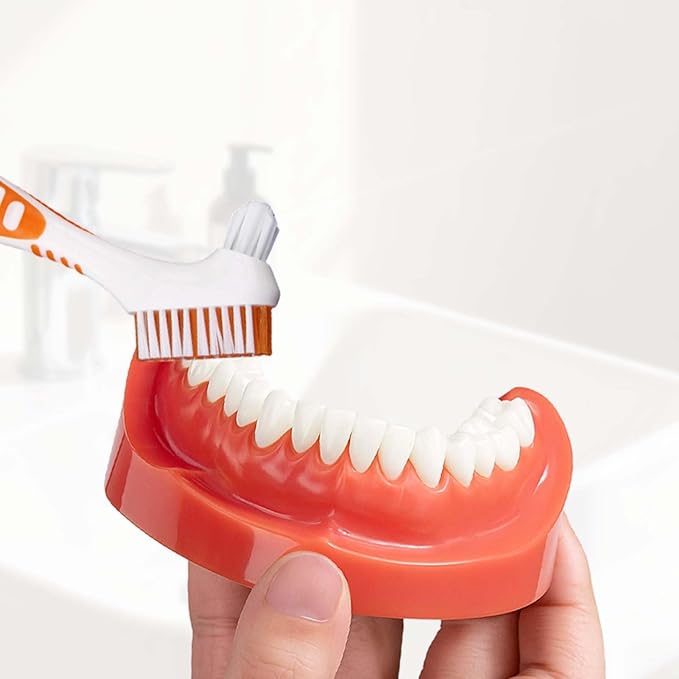 Denture Cleaning Brush Set,Unique Anti-mold Perforated Breathable Cover Denture Cleaning Brush Set with 1 White Carrying Case, Multi-Layered Bristles Ergonomic Rubber Handle for Denture Toothbrush (2)