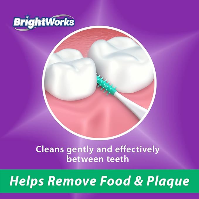 BrightWorks Mint Dental Picks, with Extra Soft Rubber Bristles and Flexible Tip, Clean Gently and Effectively Between Teeth, Travel Case Included, 3 Packs (64 Per Pack) [192 Total Picks]