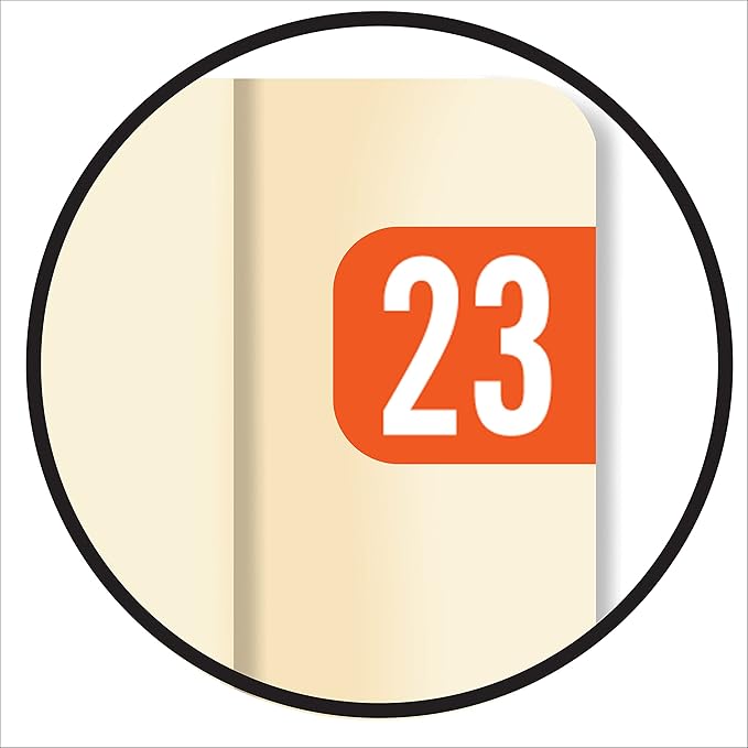 2023 MINI Year Stickers, Doctor Stuff 2023 Chart Stickers, Orange Colored, Tab 1287 Style, USA Made Year Labels for End Tab File Folders, 500/Roll, 1 Roll, 1/2" x 1-1/8"