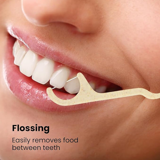 Lindo Eco Floss Picks 200 pcs with Travel Case (Single Thread)