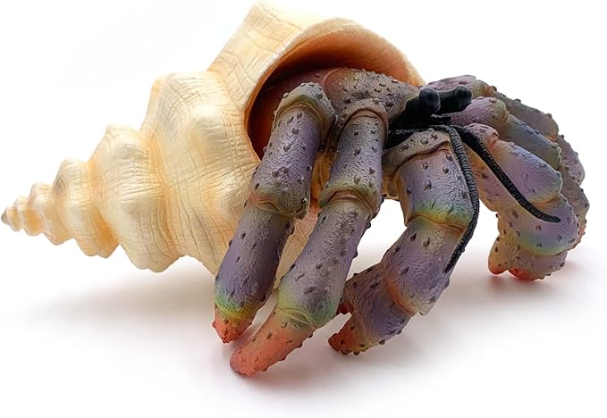 Gemini&Genius Sea Animal Hermit Crab Action Figure Toy for Kids, Soft Rubber Realistic Ocean Crab Educational and Role Play Toys for Kids and Collectors, Great Swimming and Bath Toys (Hermit Crab)