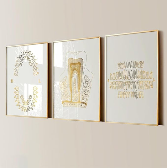 3 Pieces Wall Art Prints Dental Anatomy Poster Tooth Structure Picture Teeth Numbering System Canvas Wall Painting for Dentist Office Decoration with Inner Frame