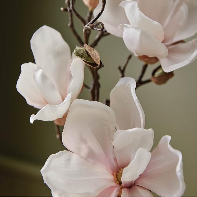 Thymes Hand Wash Refill - Lightly Scented Liquid Hand Soap for Bathroom and Kitchen Refill - Moisturizing Formula with Natural Ingredients (Magnolia Willow, 24.5 fl oz)