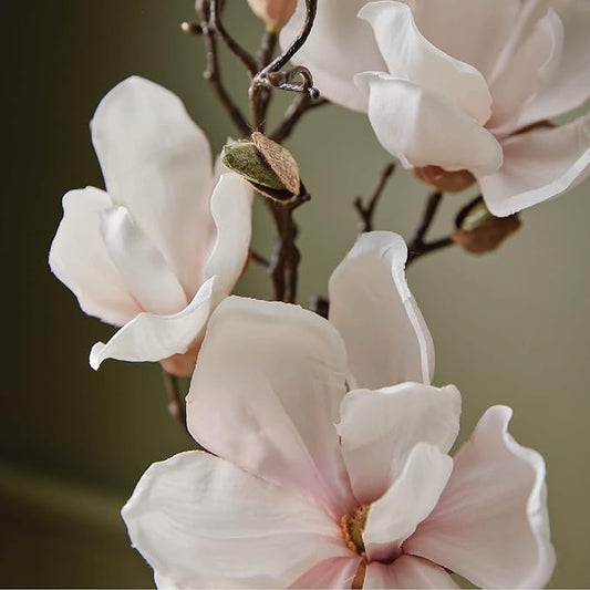 Thymes Hand Wash Refill - Lightly Scented Liquid Hand Soap for Bathroom and Kitchen Refill - Moisturizing Formula with Natural Ingredients (Magnolia Willow, 24.5 fl oz)