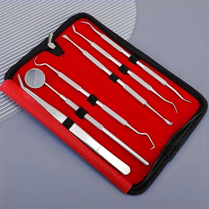 Stainless Steel Dental Kit - 6 Pack Dental Tools with Tooth Mirror, Dental Hygiene Kit for Adults, Kids, Dogs with Mirror, Picks, Travel Case (S)