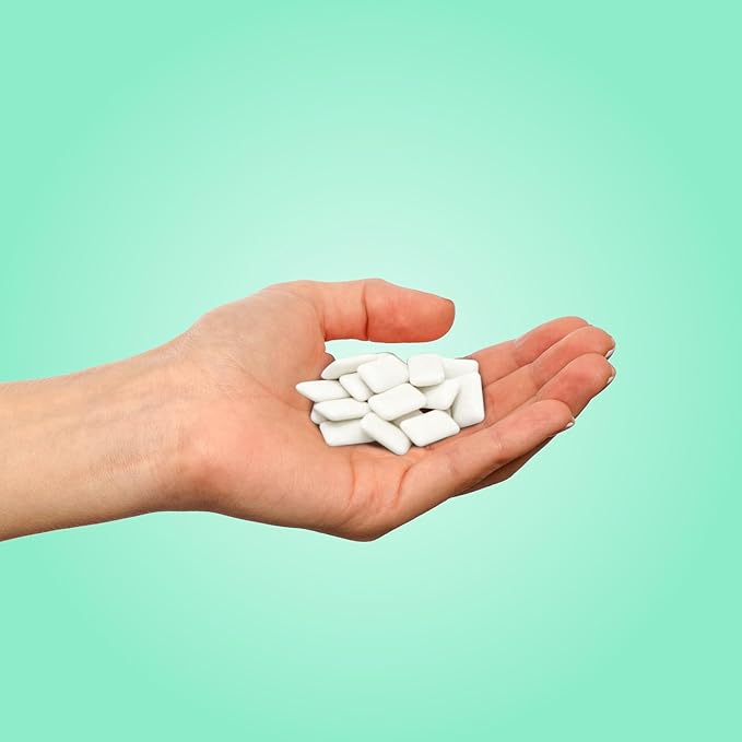 PUR Gum | Aspartame Free Chewing Gum | 100% Xylitol | Natural Chocolate Mint Flavored Gum, 55 Pieces (Pack of 12)