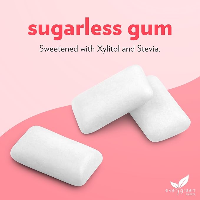 Evergreen Sweets Chewing gum -100 Pieces Jar - Natural Cinnamon Gum Made with Xylitol and Stevia - Sugar-Free, Aspartame Free and Vegan