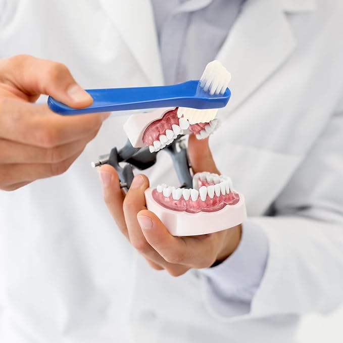 50 Pcs Denture Brush Individually Dual Headed Firm Hard Bristle Toothbrush Denture Cleaner Brush for Cleaning Dentures, Retainers, False Teeth, Braces