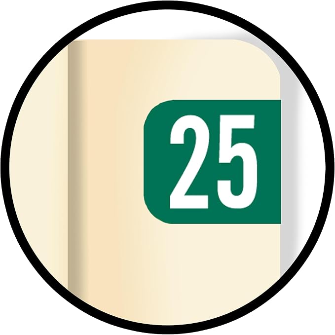 MINI 2025 Year Stickers, Doctor Stuff 2025 Chart Stickers, Green Color Coded, Tab 1287 Style, USA Made Year Labels for End Tab File Folders, 500 Labels/Roll in a Dispenser Box, 1/2" x 1-1/8"