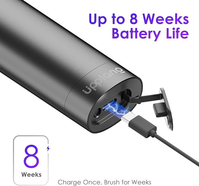 Electric Toothbrush, Portable Travel Sonic Toothbrush with Protective Case USB-C Rechargeable, Neutral Comfort Bristles, Waterproof, Smart Timer, Compact for Daily Use (Slate Gray)