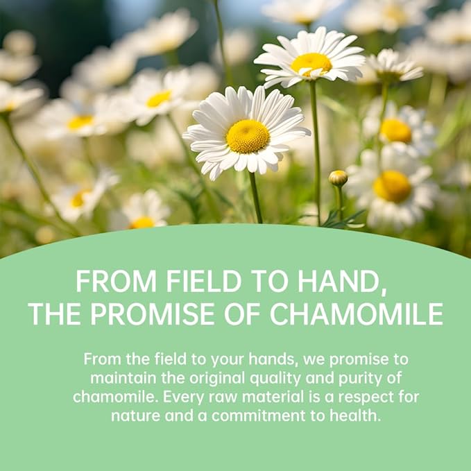 HANFANGLING Chamomile and Lavender Herbal Tea Stress Relief Support Sleep - Savor the Floral Scent 20 tea bags 0.85oz