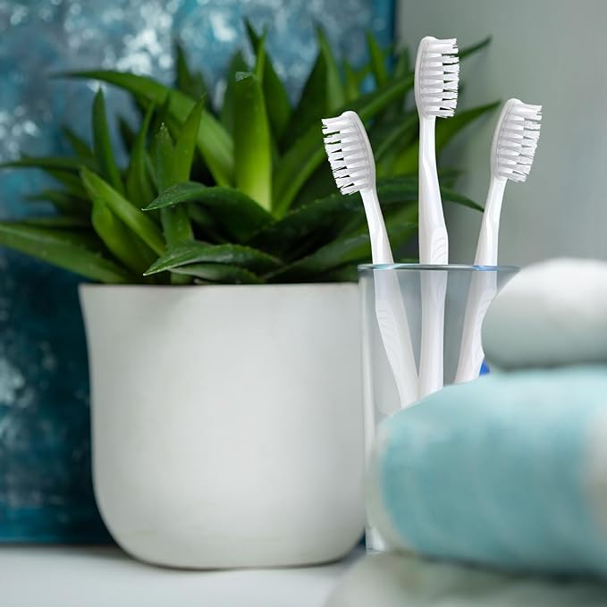 Tessco 1000 Pcs Disposable Toothbrushes Bulk Individually Wrapped Manual Soft Bristle Travel Toothbrushes Single Use Toothbrush for Homeless Hotel Toiletries Camping Office(White)