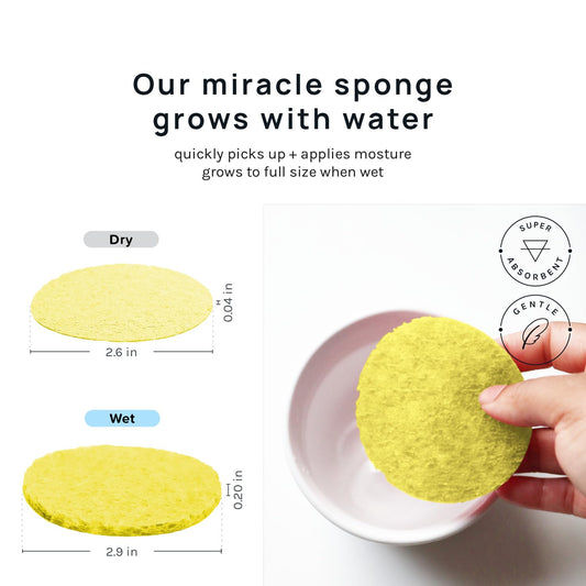 AOA Studio 50-Count Compressed Facial Sponges 100% Natural Cosmetic Spa Sponges for Facial Cleansing, Exfoliating Mask, Remove for Makeup, Dead Skin, and Dirt (Yellow, 50 Counts)