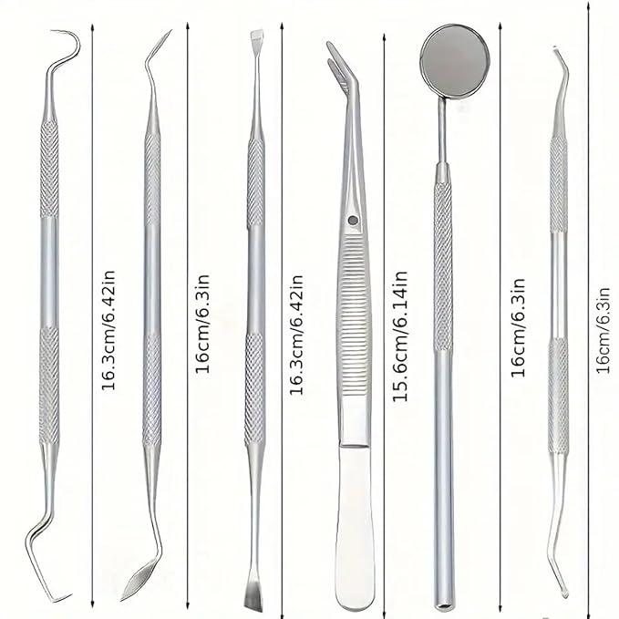 Stainless Steel Dental Kit - 6 Pack Dental Tools with Tooth Mirror, Dental Hygiene Kit for Adults, Kids, Dogs with Mirror, Picks, Travel Case (Blue)