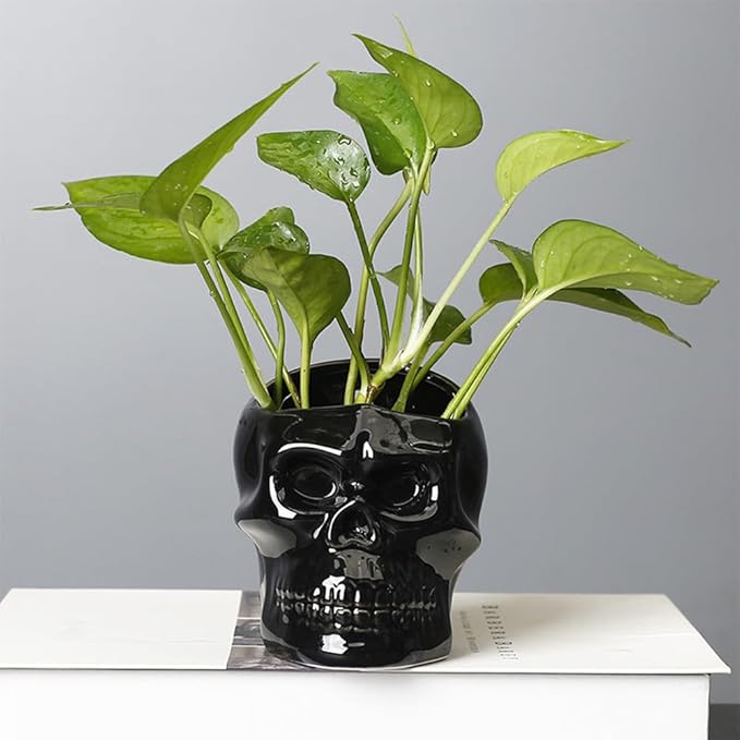 Skull-Shaped Toothbrush Holder, Skull Ceramic Small Storage Tube, Skull Pen Holder, Skull Succulent Flower Pot, Creative Decoration, Wall-Mounted Small Storage Tube (Black Skull)