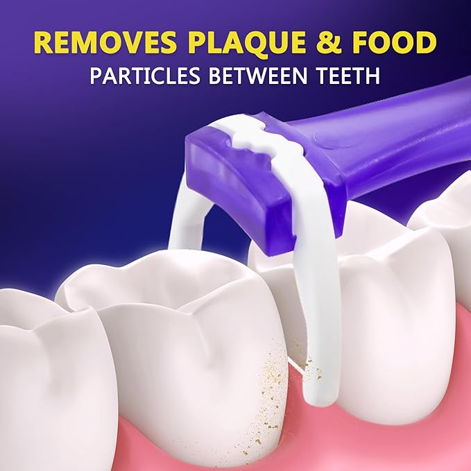 Bopika Dental Floss, Extra Strength Floss with 2 Dental Floss Handles and 240 flosser Refill Heads