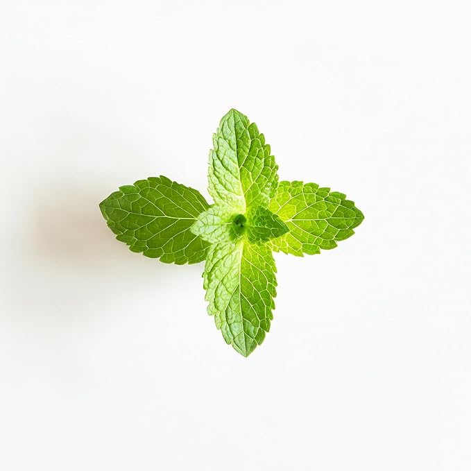 Essential Oxygen Certified BR Organic Brushing Rinse, All Natural Mouthwash for Whiter Teeth, Fresher Breath, and Happier Gums, Alcohol-Free Oral Care, Peppermint, 16 Ounce, Package may vary