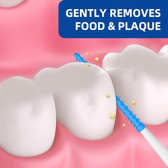 Dental Floss Picks for Teeth Cleaning, Easy to Use Disposable Interdental Brushes with Convenient Carry Case (Blue, 300 Count)