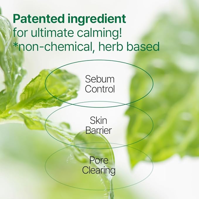 [PKY] Pyunkang Yul Ultimate Line Skincare Set, Soothing & Hydration Care, Calming Solution Toner, Ampoule & Cream, Traditional Korean-Style Packaging, Zero-Irritation (3-item set)