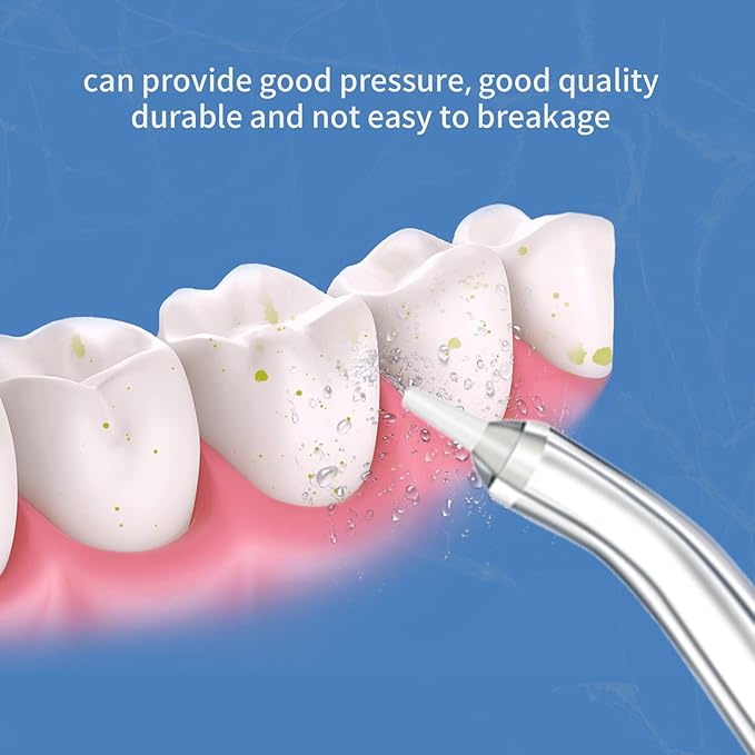 Waterpik Replacement Picks Replacement Tips for Waterpik Water Flosser, Waterpik Replacement Heads, Storage Case & AquaFlosser 6 Tips (Aquaflosser 6 Tips)