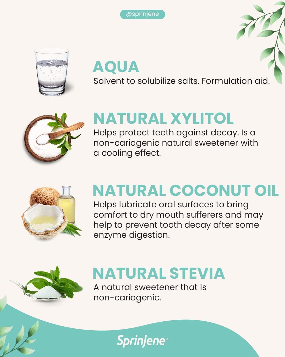 SprinJene Natural Total Care Toothpaste – Fluoride Toothpaste for Cavity Protection & Gum Health – Natural Formula with Patented Black Seed Oil & Zinc – Made in The USA (4 Pack)