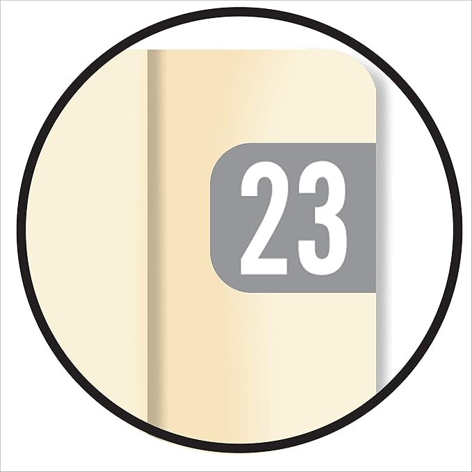 2023 MINI Year Stickers, Doctor Stuff 2023 Chart Stickers, Gray Colored, Tab 1287 Style, USA Made Year Labels for End Tab File Folders, 500/Roll, 1 Roll, 1/2" x 1-1/8"