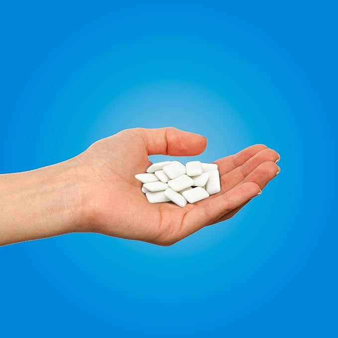 PUR Gum | Aspartame Free Chewing Gum | 100% Xylitol | Natural Peppermint Flavored Gum, 55 Pieces (Pack of 6)