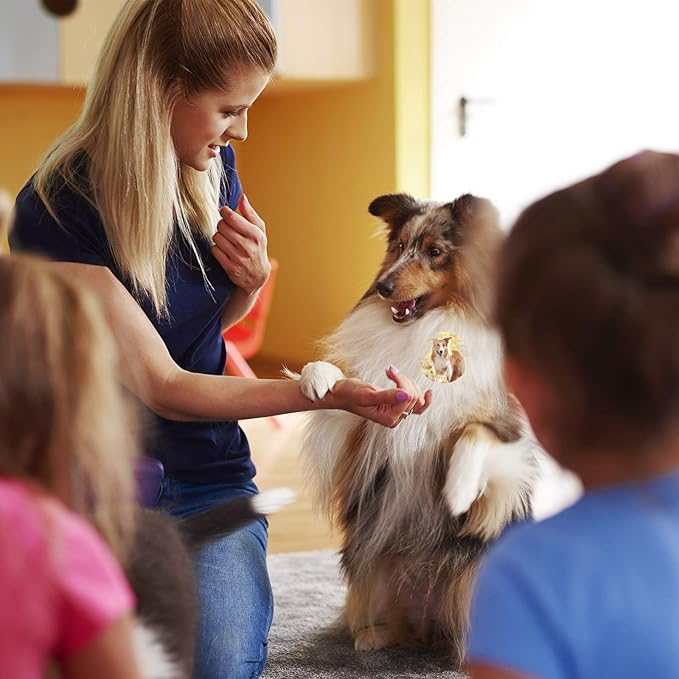 Zonon 600 Pieces Farm Animal Stickers Realistic Animal Roll Stickers Barnyard Friends Theme Label Pasters Decals Teaching Supplies for Kids Classroom Home Rewards Party Favor, 1.5 Inch