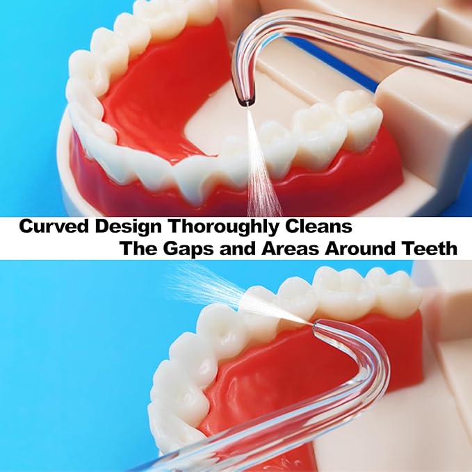 Replacement Heads for Waterpik, Replacement Picks for Water Pik Water Flosser (10 Tips & Storage Case), Water Flosser Replacement Tips for Waterpik WP-663 WP-150 WP-660 WP-580 wp-150w wp667w WP-140