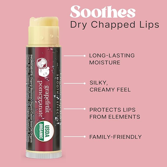 USDA Organic Lip Balm - USA Made with Natural Ingredients, Stocking Stuffers for Women & Men, 4 Pack Multi Flavor Lips Moisturizer, Beauty & Small Birthday Gifts, Chapstick Care for Dry Lips