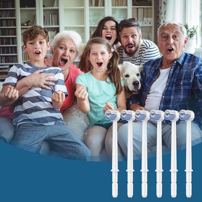 Replacement Heads for Waterpik, Replacement Picks for Water Pik Water Flosser (6 Toothbrush Tips)