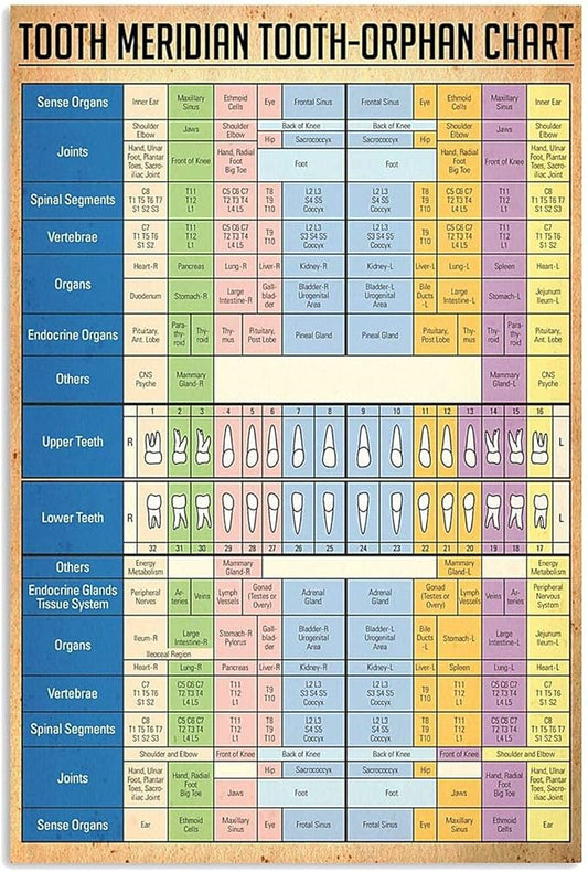 JIUFOTK Dentist Knowledge Posters Metal Signs Tooth Meridian Tooth-Orphan Chart Vintage Plaque Dental Room Decor Club Office Bathroom Wall Decor 8x12 Inches