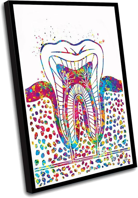 HFKSRJGW Dental Clinic Office Decor,Molar Tooth Watercolor Print Tooth Anatomical Art Dental Clinic Decor Art Dentistry Student Science Graduaiton Dentist Gift Doctor Art,16"x24"Framed Wall Art