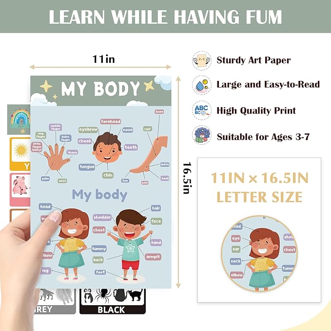 16 Educational Posters for Preschoolers, Laminated PreK Learning Poster Charts for Toddlers 1-3, Learning Wall Charts for Kids’ Bedroom, Playroom, Preschool, Kindergarten and Homeschool (Morandi B)