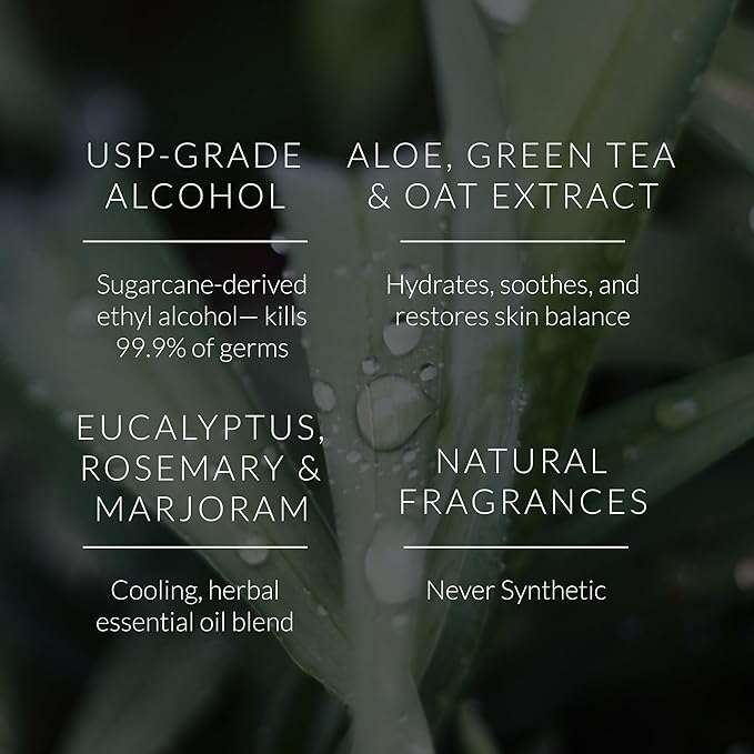 Noshinku Eucalyptus Hand Sanitizer Wipes, 3-Pack (45 Towelettes) – Resealable Travel Wipes with Ethyl Alcohol, Aloe & Green Tea, Plant-Based Fiber, Essential Oil Scents, Cruelty-Free & No Dyes