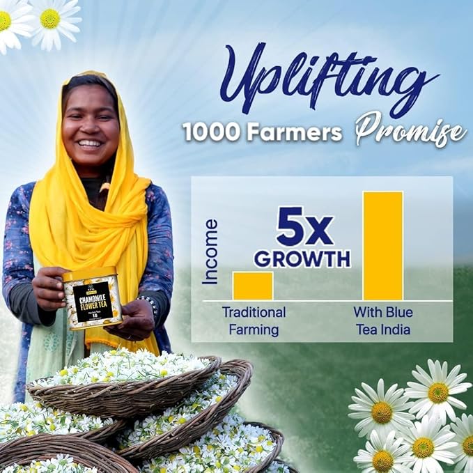 BLUE TEA - Indian Chai Masala - 12 Count - Pyramid Plant Based Tea Bag | Butterfly Pea Flower | Flower & Indian Spices Based | Caffeine Free - Detox Tea - Herbal Tea - Non Bitter | Gifts Box