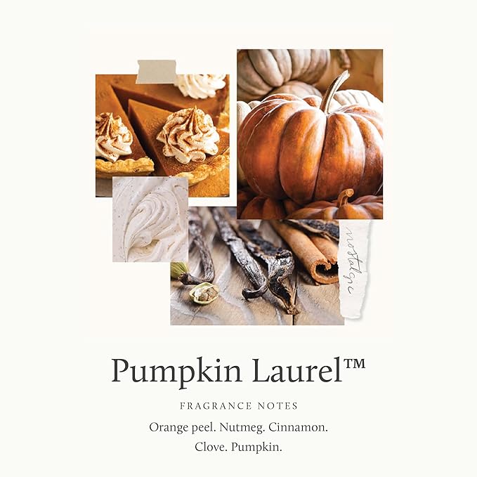 Thymes Foaming Hand Wash with Aloe & Glycerin - Fall Scented Foaming Hand Soap with Pump - Fall Decor - Fall Soap with Notes of Nutmeg, Cinnamon, Clove & Creamy Pumpkin (Pumpkin Laurel, 10.3 fl oz)