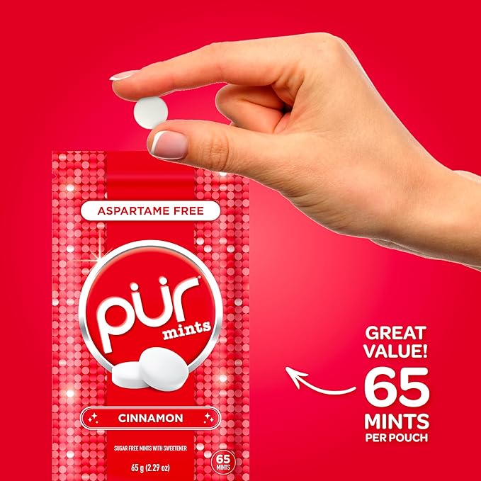 PUR Mints | Aspartame Free Breath Mints | Made with Xylitol | Sugar Free, Vegan, Gluten Free | Natural Cinnamon Flavor | 65 Pieces in Re-Sealable pouch (Pack of 3)