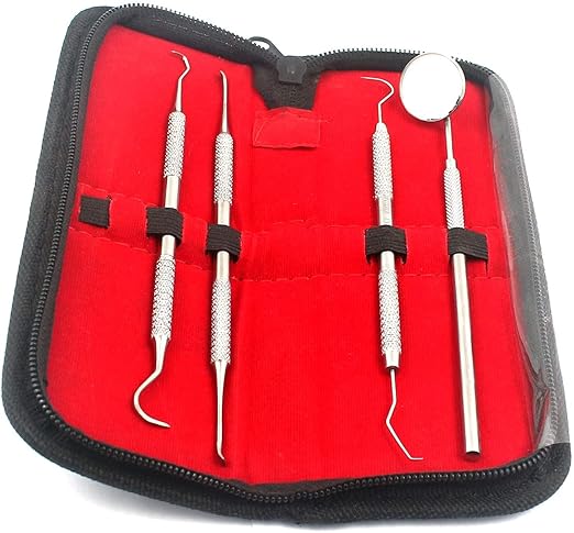 AA PRO Dentists Tools KIT Bundle with Dental Mirror, Tartar Remover, Dental Pick, Scraper and CASE A+ Quality