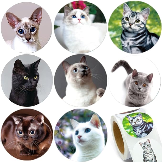 1.5" Cat Stickers for Kids Teachers, 500 Pcs Cat Kitten Stickers for Toddlers Birthday Party, School Reward, Giveaways