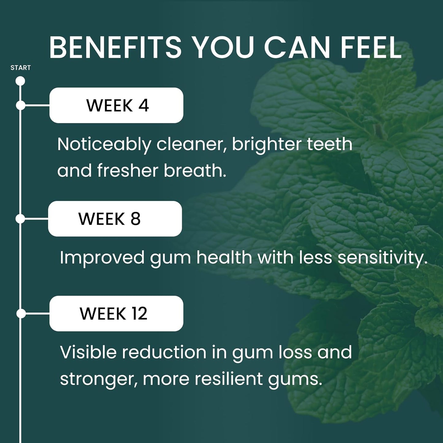 Smile Toothpaste - Gum Health, Natural Whitening, Smooth Feel - Flouride-Free, Peroxide-Free, BPC-157 Peptide
