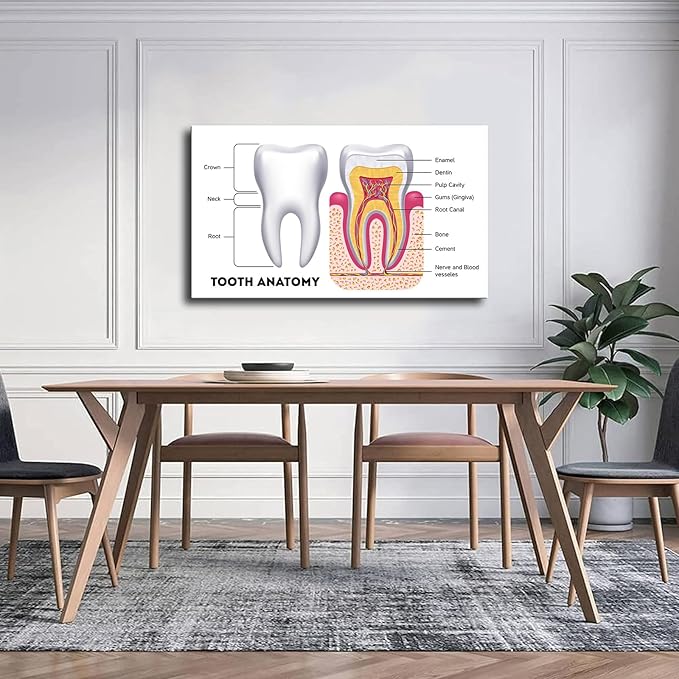 Dental Infographic Teeth Anatomy Science Poster Picture Art Print Canvas Wall Home Living Room Decor Kitchen Bedroom Aesthetics Decoration (24x36inch_Framed)