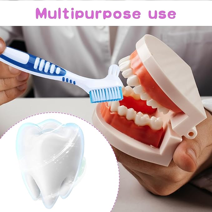 DIVINA VITAE 30Pcs Denture Toothbrush Multi-Layered Soft Bristles Denture Cleaning Brush Bulk Denture Brush with No-Slip Handle for False Teeth, Dental Devices, Mouth Guard(4 Colors)