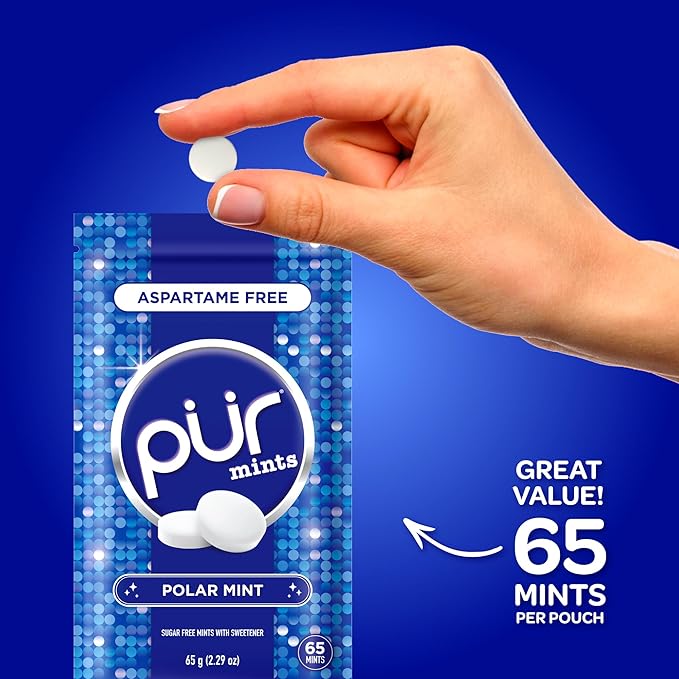 PUR Mints | Aspartame Free Breath Mints | Made with Xylitol | Sugar Free, Vegan, Gluten Free | Natural Polar Mint Flavor | 65 Pieces in Re-Sealable pouch (Pack of 1)