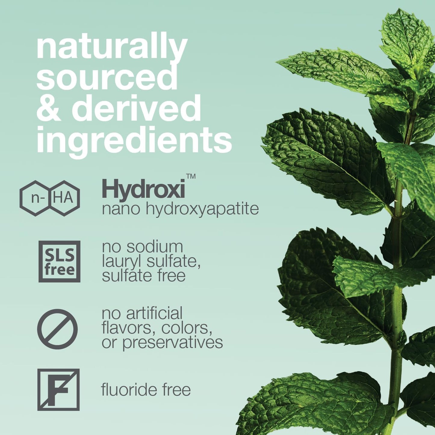 Davids Hydroxi Fluoride Free Nano Hydroxyapatite Whitening + Enamel Health Toothpaste, Antiplaque, Fresh Breath, Remineralizing, SLS Free, New Whitening Mint, 4 oz, Made in USA (3 Pack)